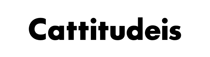 SansSerifBldFLF  Free Fonts Download