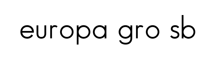 SansSerifBookFLF  Free Fonts Download