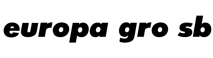 SansSerifExbFLF-Italic  Free Fonts Download