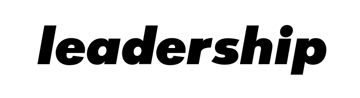 SansSerifExbFLF-Italic  Free Fonts Download