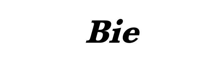 BaskervaldADFStd-HeavyItalic  Free Fonts Download
