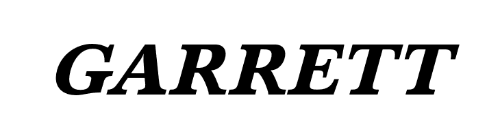 BaskervaldADFStd-HeavyItalic  Free Fonts Download