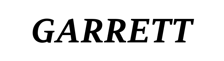 AdamantBG-BoldItalic  Free Fonts Download