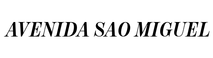 NeoplantaBG-BoldItalic  Free Fonts Download