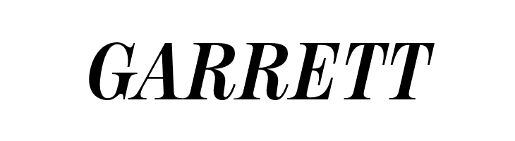 NeoplantaBG-BoldItalic  Free Fonts Download