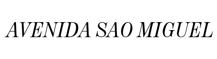 NeoplantaBG-Italic  Free Fonts Download