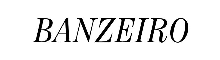 NeoplantaBG-Italic  Free Fonts Download