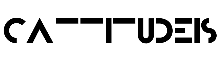 Bifur Foundation  Free Fonts Download