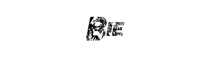 ChronicGothic  Free Fonts Download