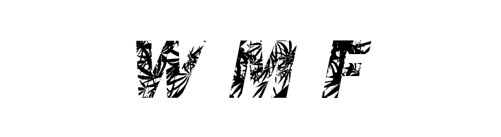 ChronicGothic  Free Fonts Download