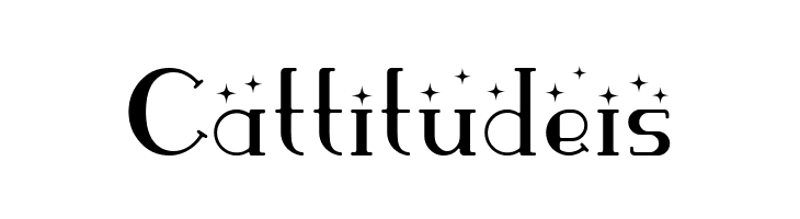 ParismatchBright  Free Fonts Download