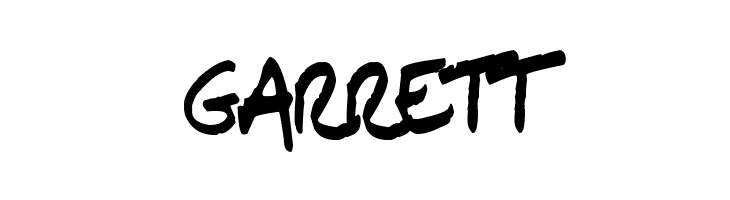 ChN1 Regular  Free Fonts Download