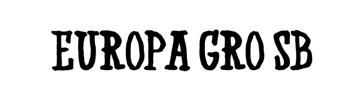 Western Swagger DEMO  Free Fonts Download