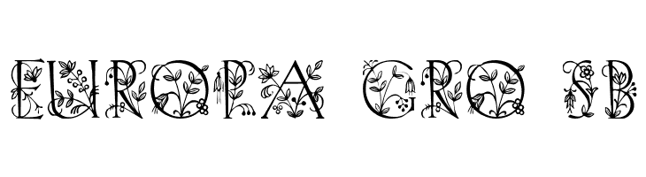 Koch Altschrift Initialen  Free Fonts Download
