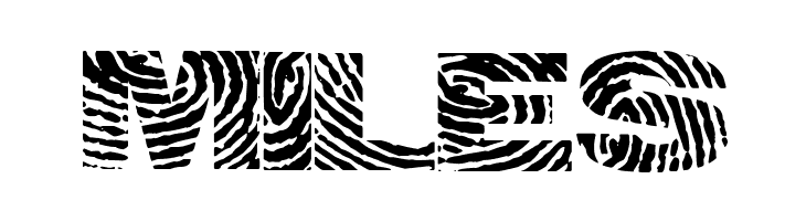 identify  Free Fonts Download