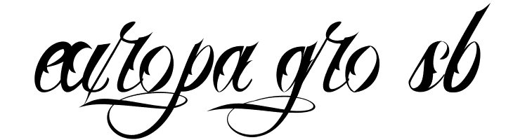 Nina Script  Medium  Free Fonts Download