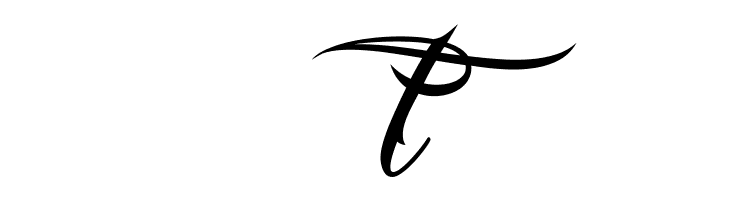 Nina Script  Medium  Free Fonts Download