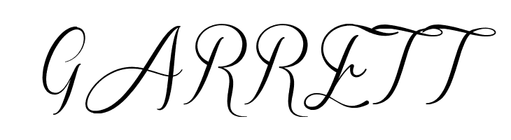 Sverige Script Demo  Free Fonts Download