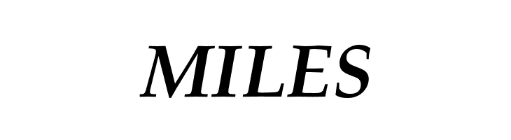 TeXGyrePagella-BoldItalic  Free Fonts Download