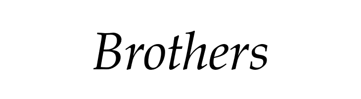 TeXGyrePagella-Italic  Free Fonts Download