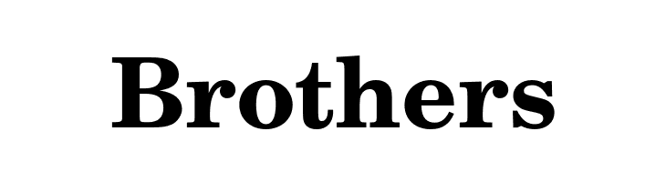 TeXGyreSchola-Bold  Free Fonts Download