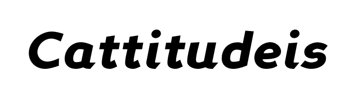 PerspectiveSans-BlackItalic  Free Fonts Download