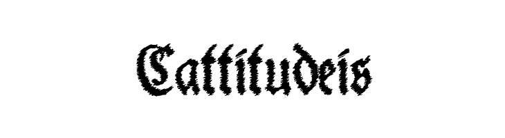 Schneider Buch Deutsch Trash Free  Free Fonts Download