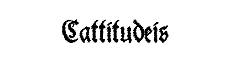 SchneiderBuchDeutschTrashFree  Free Fonts Download