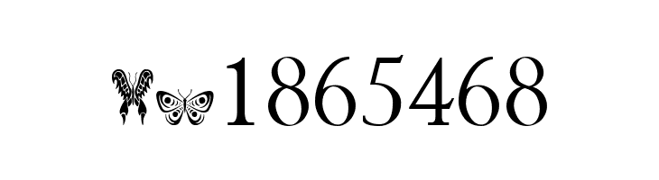 Tribal Butterflies  Free Fonts Download