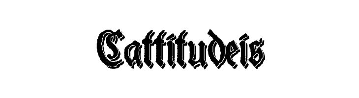 Schneider Buch Deutsch Shadow Two  Free Fonts Download