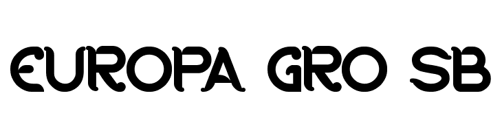 RIDING THE WORLD  Free Fonts Download