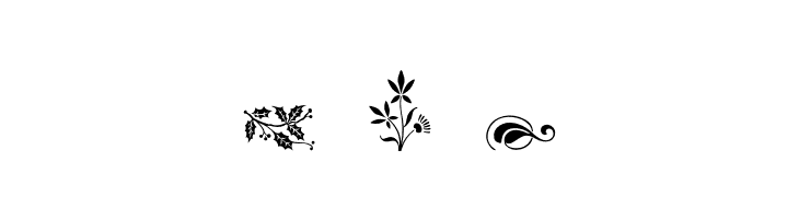 SoftOrnamentsFour  Free Fonts Download