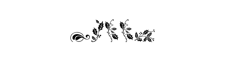 Soft Ornaments Four  Free Fonts Download