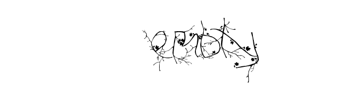 FTF Hutan Rantingee FREE  Free Fonts Download