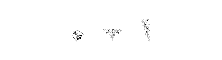 SoftOrnamentsFive  Free Fonts Download