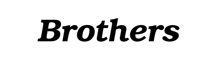 TeXGyreBonum-BoldItalic  Free Fonts Download