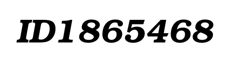 TeXGyreBonum-BoldItalic  Free Fonts Download