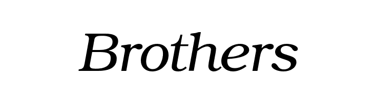 TeXGyreBonum-Italic  Free Fonts Download