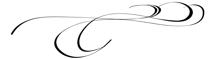 Before the Rain Swashes DEMO  Free Fonts Download