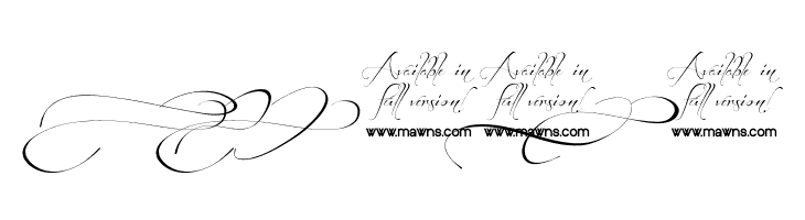 Before the Rain Swashes DEMO  Free Fonts Download