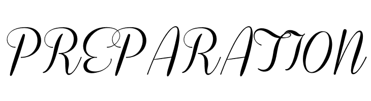 Coneria Script Demo  Free Fonts Download