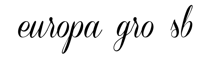Coneria Script Demo  Free Fonts Download