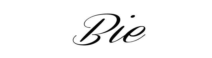 Coneria Script Slanted Demo  Free Fonts Download