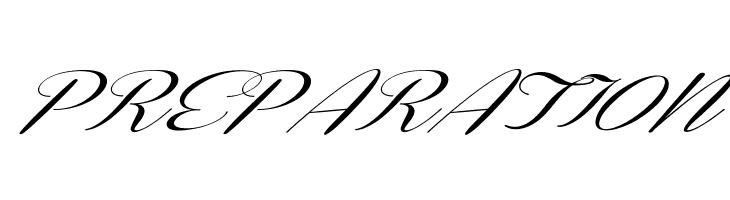 Coneria Script Slanted Demo  Free Fonts Download