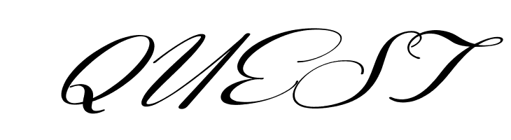 Coneria Script Slanted Demo  Free Fonts Download