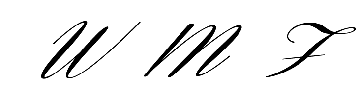 Coneria Script Slanted Demo  Free Fonts Download