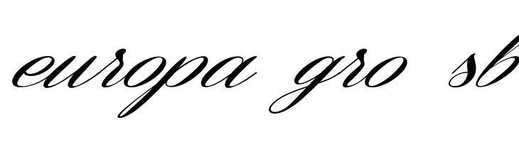 Coneria Script Slanted Demo  Free Fonts Download