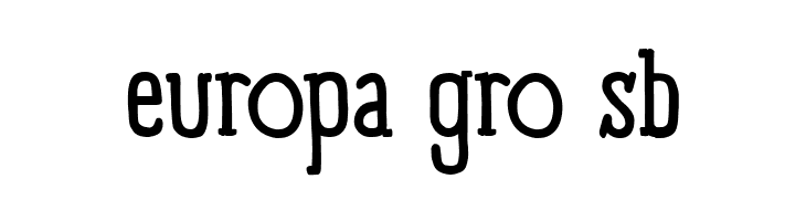 Panforte Serif Regular  Free Fonts Download