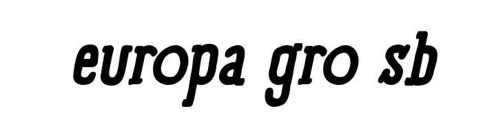 Panforte Serif Bold Italic  Free Fonts Download