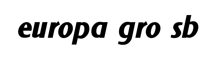 NewForum Bold Italic  Free Fonts Download